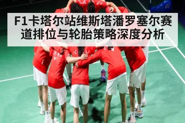 F1卡塔尔站维斯塔潘罗塞尔赛道排位与轮胎策略深度分析